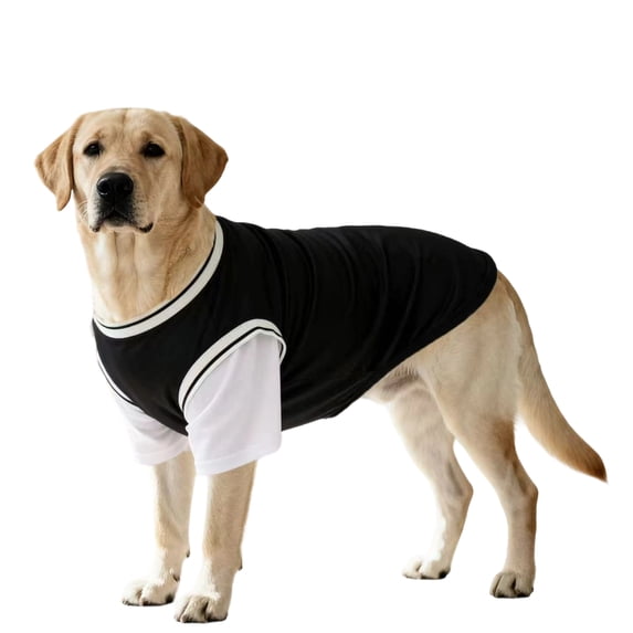 Dog Shirt for Large Dogs Dog Clothes for Large Dogs Black Xl Breathable Mesh Pet Apparel Stretchy Anti Shedding Two Piece Design for Daily Walking Outdoor Activity 1 Pack