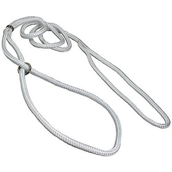Dog Show Lead Braided Tubular Nylon 52" Long (Large: diam 3/8"(10mm), White)