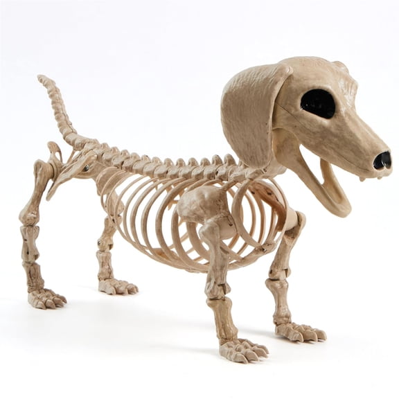 Dog Skeleton 24 Plastic Animal Posable Skeleton Halloween D rations with Movable Joints for Graveyard Scenes Haunted House Prop Party D r Spooky Indoor Outdoor D rations