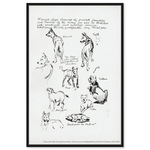 Dog Sketches 1917 Canvas Animal Line Art by Art Remedy, Black Frame, 20" x 30"