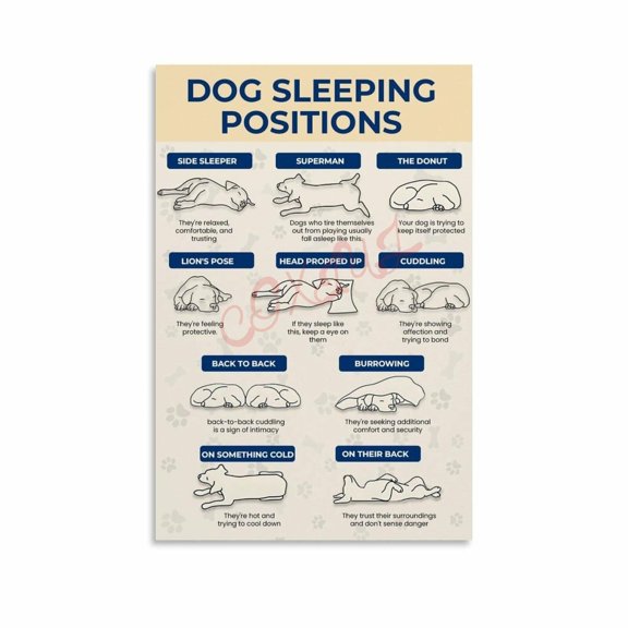 Dog Sleeping Positions Meaning Chart Poster (2) Canvas Painting Wall Art