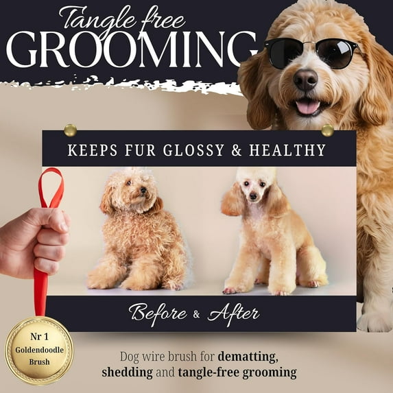 Dog Slicker Brush - Large Size for Goldendoodle & Retriever, Protective Ball Tipped Pins for Deep Grooming