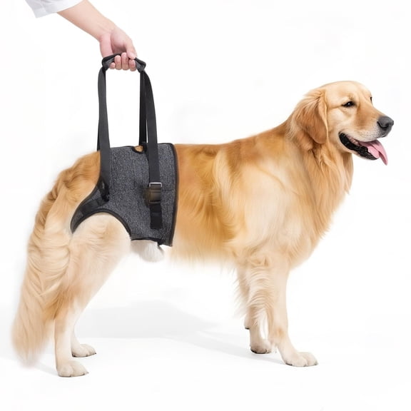 Dog Sling for Large Dogs Hind Leg Support, Adjustable Soft Padded Harness for Weak, Injured, or Disabled Back Legs, Helps Support Senior, Arthritic, and Mobility-Impaired Dogs (Large)