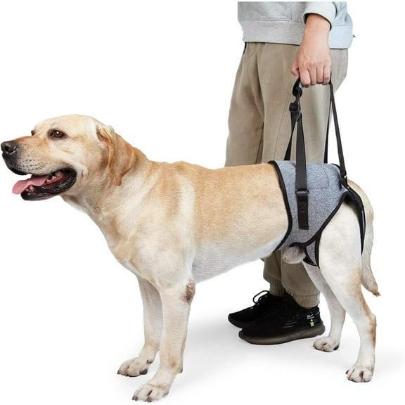 Dog Sling for Large Dogs Hind Leg Support to Help Rehabilitate The Hind Limbs of Elderly Dogs with Weak Hind Legs Disabilities and Injuries Dog Harness Helps Arthritis ACL Recovery (L, Grey)