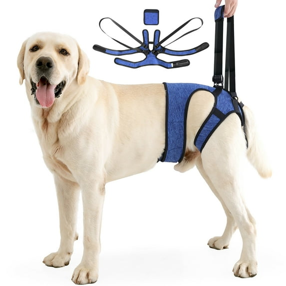 Dog Sling for Medium Large Dog Rear Leg, Lift Harness Provide Support with Muscle Atrophy and Joint Problems for Elderly Injured Arthritic Pet, Dog Weak Rear Legs Provides Rehabilitation Aid