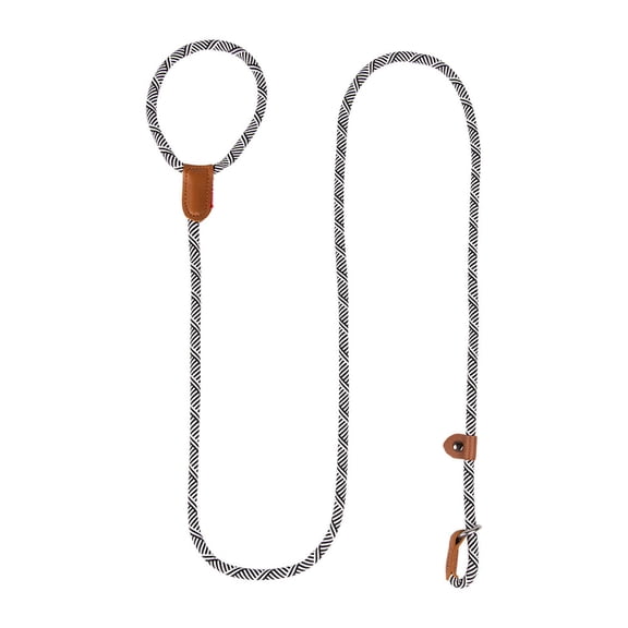 Dog Slip Lead Training Leash, Rope Dog Leash for Medium and Large Dogs, No Pull Training Pet Leash for Walking, Pet Training Supplies