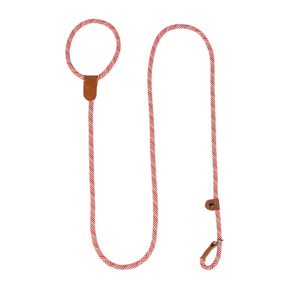 Dog Slip Lead Training Leash, Rope Dog Leash for Medium and Large Dogs, No Pull Training Pet Leash for Walking, Pet Training Supplies