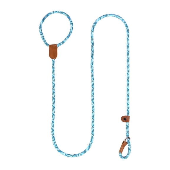 Dog Slip Lead Training Leash, Rope Dog Leash for Medium and Large Dogs, No Pull Training Pet Leash for Walking, Pet Training Supplies