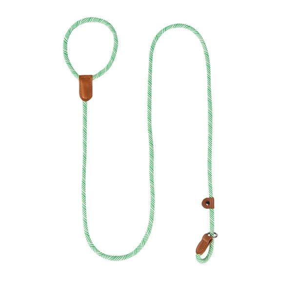 Dog Slip Lead Training Leash, Rope Dog Leash for Medium and Large Dogs, No Pull Training Pet Leash for Walking, Pet Training Supplies
