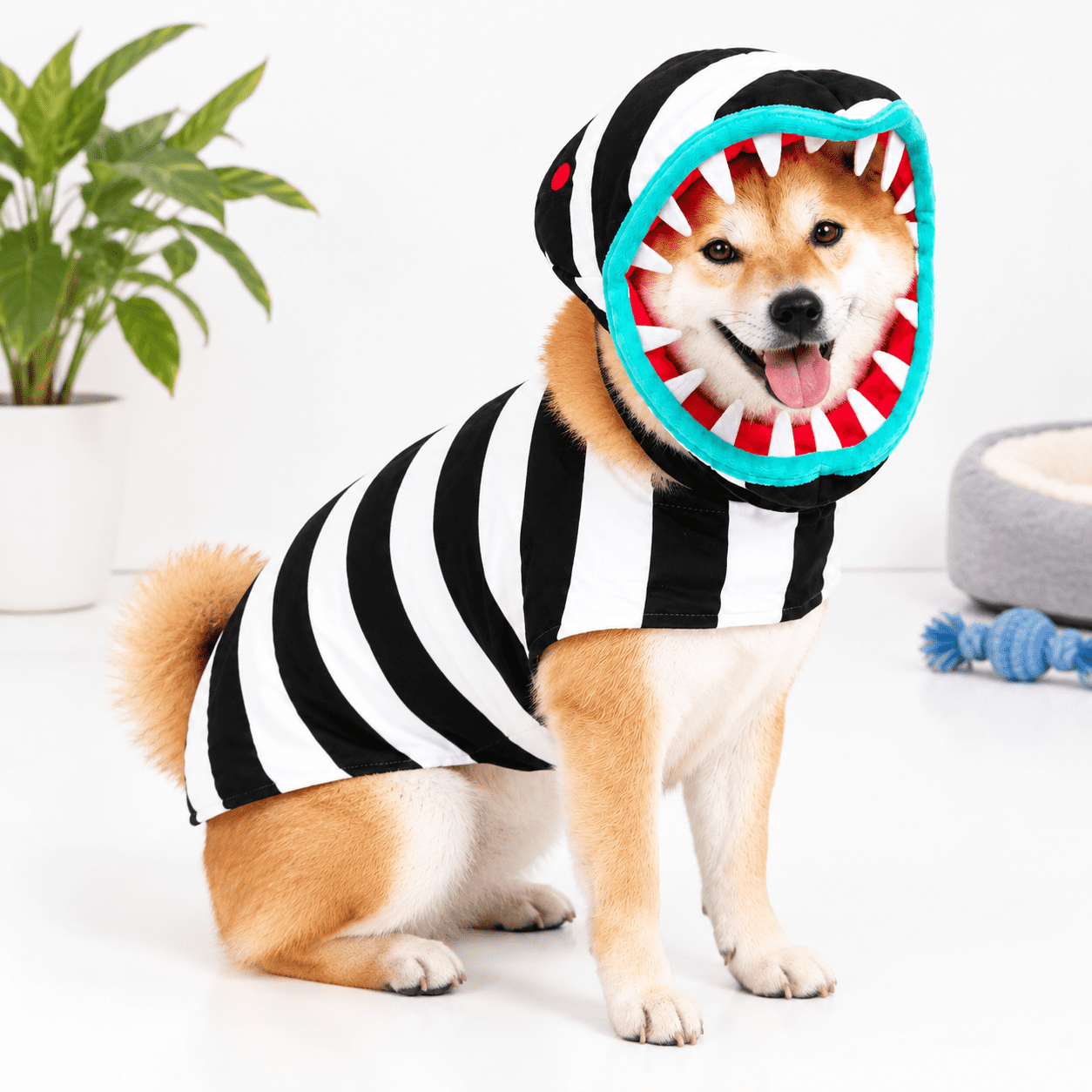 White Baby Python Snakes Dog Snake Costume, Black and White, X-Large, Striped Pet Costume with ...