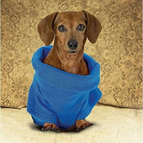 Dog Snuggie Countertop Display