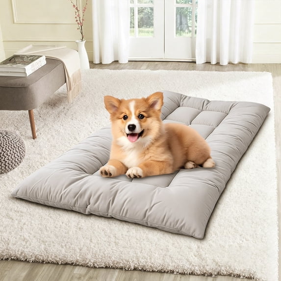 Dog Sofa Bed Pad for Large Dogs - Extra Large Pet Mat 47x24 Inch - Washable Floor Pad for Couch - Thick Polyester Non-Slip Bottom - Indoor Use for Cats and Dogs - Versatile Four Season Pet Bed