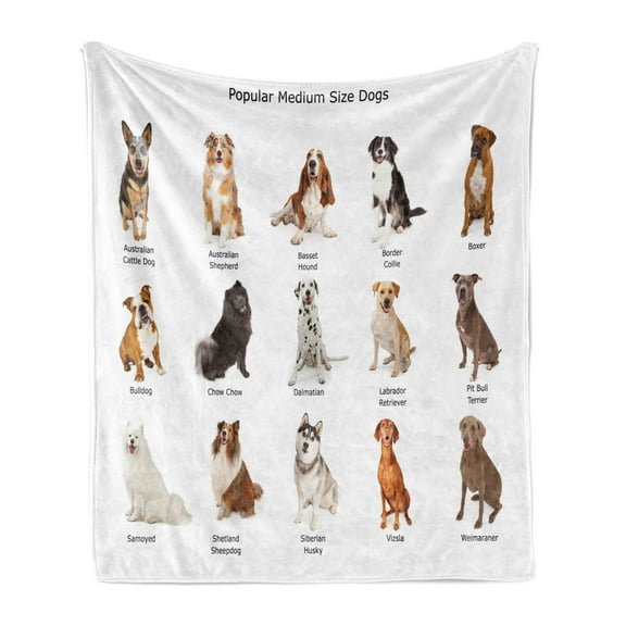 Dog Soft Flannel Fleece Throw Blanket, Group Different Puppy Breeds Family Type Species Dalmatian Husky Bulldog Image Print, Cozy Plush for Indoor and Outdoor Use, 50" x 60", Multicolor, by Ambesonne