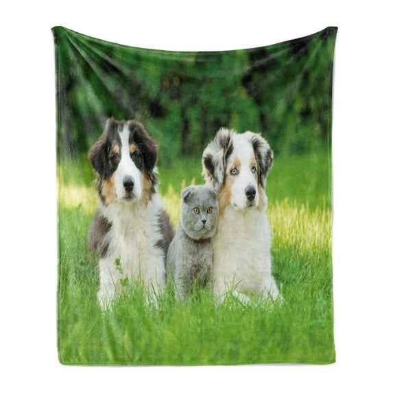 Dog Soft Flannel Fleece Throw Blanket, Pets Puppy Family in the Garden Australian Shepherds and a Cat Scenery, Cozy Plush for Indoor and Outdoor Use, 50" x 60", Cream Grey Fern Green, by Ambesonne