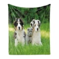thumbnail image 1 of Dog Soft Flannel Fleece Throw Blanket, Pets Puppy Family in the Garden Australian Shepherds and a Cat Scenery, Cozy Plush for Indoor and Outdoor Use, 50" x 70", Cream Grey Fern Green, by Ambesonne, 1 of 5