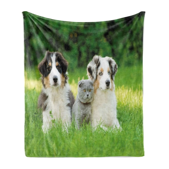 Dog Soft Flannel Fleece Throw Blanket, Pets Puppy Family in the Garden Australian Shepherds and a Cat Scenery, Cozy Plush for Indoor and Outdoor Use, 50" x 70", Cream Grey Fern Green, by Ambesonne