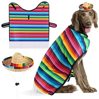 Dog sombrero costume shop
