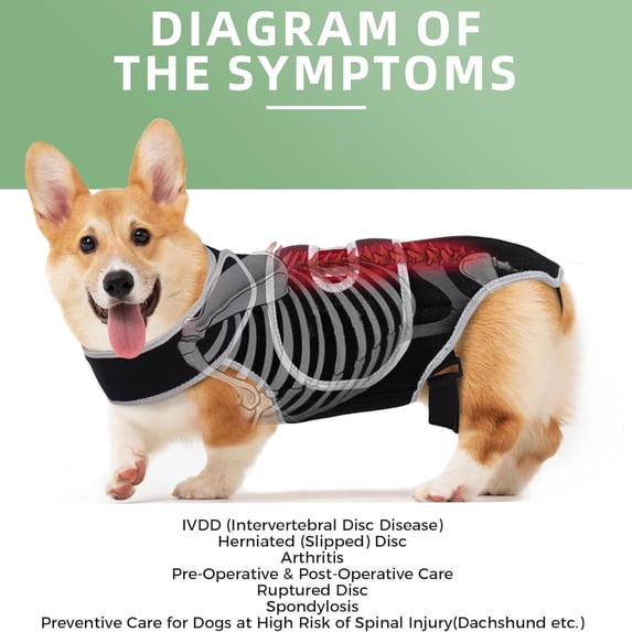 Dog Spinal Support Brace, Dog Intervertebral Disc Support Vest, Back Protection Vest, Black