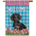 thumbnail image 1 of Dog Spring Summer Welcome House Flag Dachshund Tulip Flowers Blue Buffalo Plaid Outside Yard Decor Flag Banner 28X40 Inch Double Side Style 1, 1 of 6
