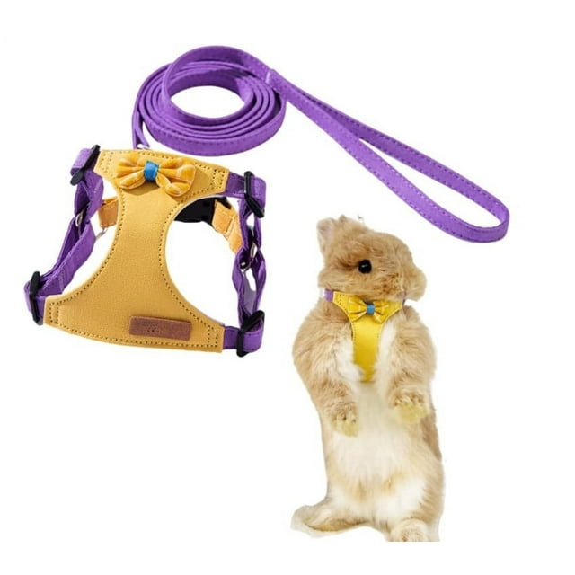 Dog Stairs for Small Dogs Step Gear Pedometer Dog Back Brace for