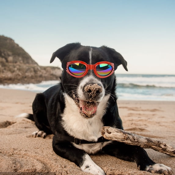 Dog Sunglasses Polarized Windproof Pet Goggles Adjustable Folding Design with Elastic Band for Outdoor Camping Trips Photography