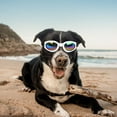 thumbnail image 1 of Dog Sunglasses Polarized Windproof Pet Goggles Adjustable Folding Design with Elastic Band for Outdoor Camping Trips Photography, 1 of 6