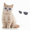 thumbnail image 1 of Dog Sunglasses Windproof Eye Pet Glasses for Cats and Dogs Cool Pet Accessories Durable Comfortable Fit, 1 of 4