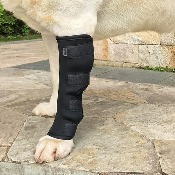 Dog Support Leg Brace, Pet Elbow Knee Pad Hock Joint Wrap for Puppy Joint Injury L