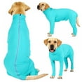 thumbnail image 1 of Dog Surgery Recovery Suit Full Coverage Jumpsuit for Wounds Skin Diseases Post-operative Protection E Collar Dog Onesie Pet Clothes Dog Anxiety Calming Shirt, 1 of 8