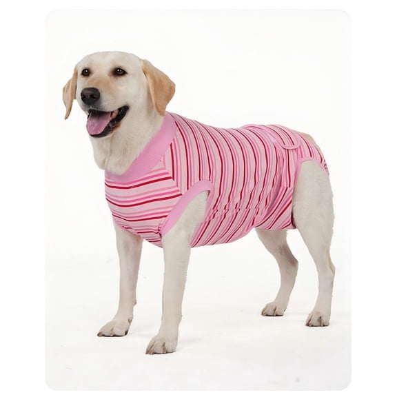 Dog Surgical Recovery Suit, Breathable Post-Surgery Onesie for Abdominal Wounds, Anti-Licking Pet Bodysuit, XL