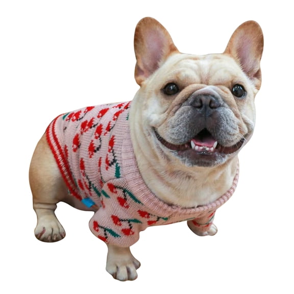 Dog Sweater Christmas Windproof Sweater Pet Kitten Winter Warm Clothes Apparel for Small Large Dog