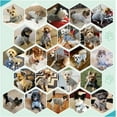 thumbnail image 1 of Dog Sweaters For Small Dogs Girl Boy Winter Fleece Clothes Warm Soft Dog Sweatshirt Outfit For Dogs ( Gray S ), 1 of 5