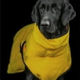 thumbnail image 1 of Dog Sweaters for Large Dogs Pet Hoodie Clothes Warm Soft Pet Coats Hooded Sweatshirt Dog Sweaters for Extra Large Dogs(Yellow,S), 1 of 4