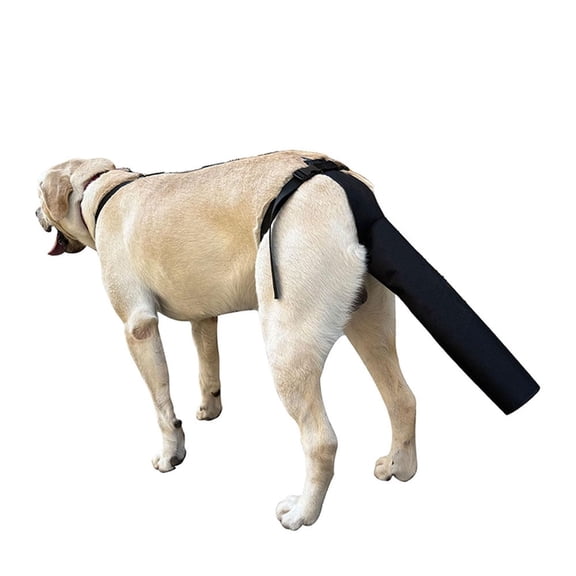 Dog Tail Protector, Dog Tail Guard for Medium Large Dogs, Adjustable Cover to Prevents Licking Wounds, Breathable Tail End Bag for Recovery (Black, L)