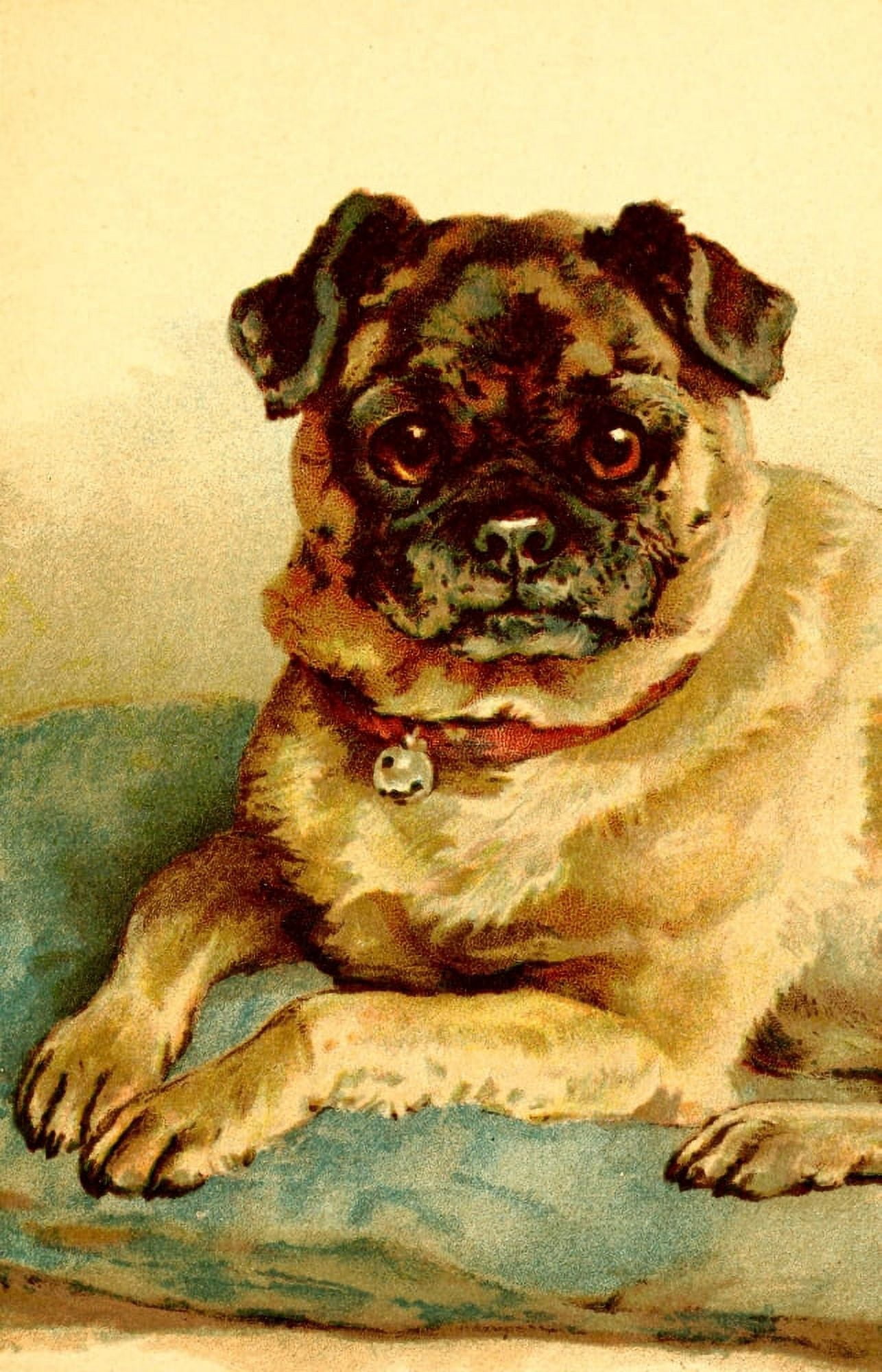 Dog Tales Pug Canvas Art - E Stuart Hardy (18 x 24)