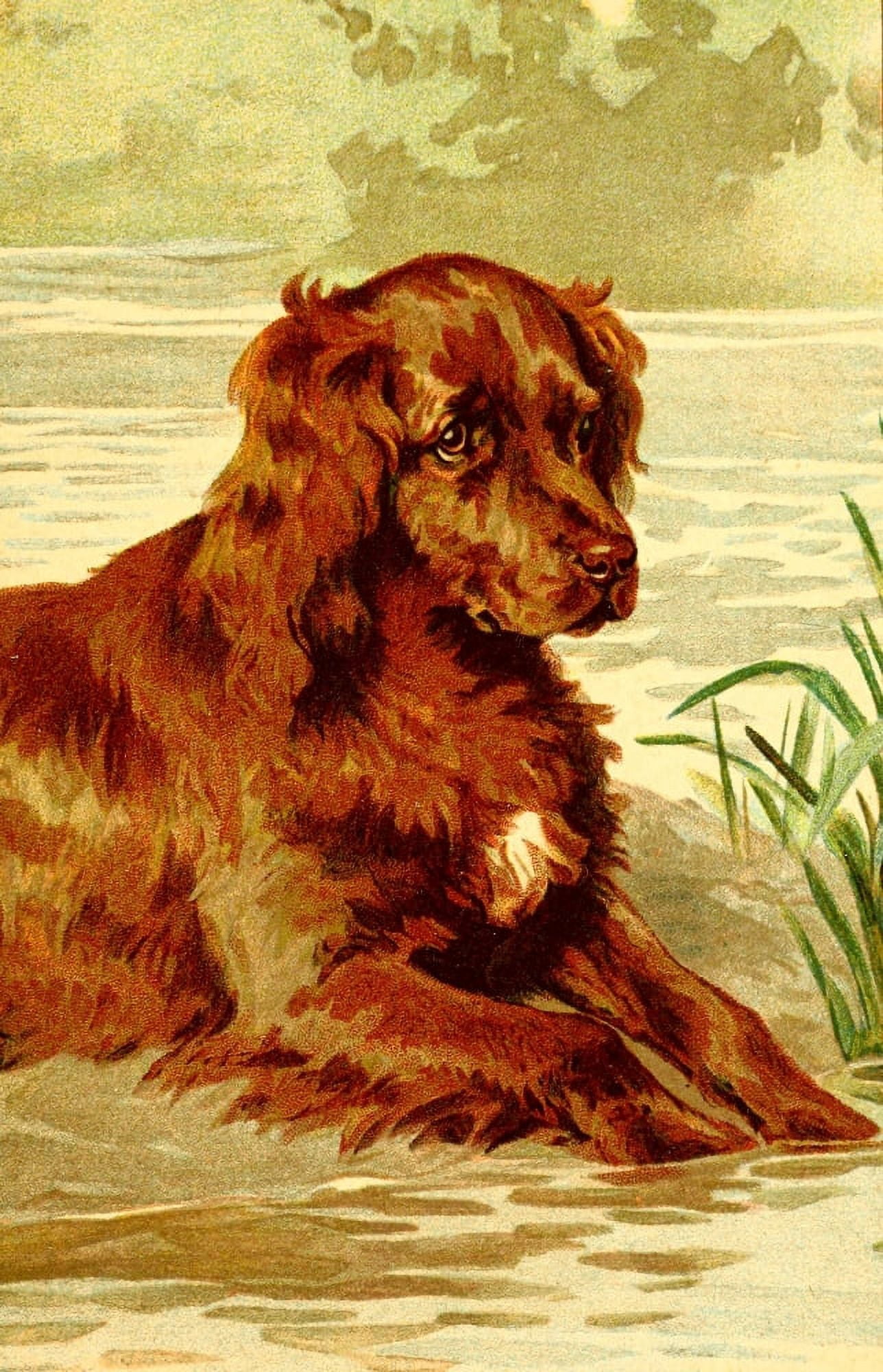 Dog Tales Spaniel Canvas Art - E Stuart Hardy (18 x 24)