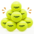 thumbnail image 1 of Dog Tennis Balls 12 Pack - Squeaky Interactive Dog Ball Toys For Training, Exercise, Indoor Outdoor Play - 2.5" Rubber Pet Balls For Small, Medium, Large Dogs, 1 of 3