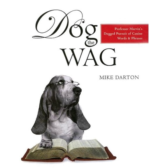 Pre-Owned Dog The Wag: Professor Marvin's Dogged Pursuit of Canine Words and Phrases (Hardcover) 1598694367 9781598694369