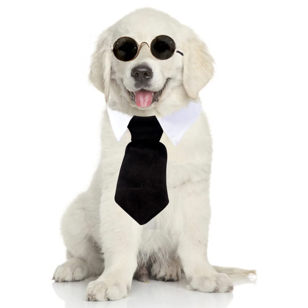 Dogties deals