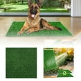 thumbnail image 1 of Dog Toilet Pet Training Pad Washable Kennel Mat for Indoor Puppy Potty Housebreaking and Defecation Control, 1 of 9