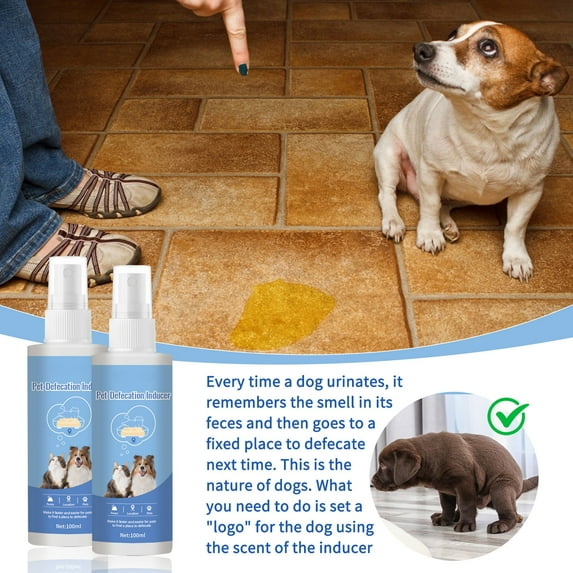 Dog Toilet Training Spray 100ml - Puppy Potty Training Aid - Indoor Outdoor Pad Attractant - Behavior Correction Solution - Fast Housebreaking
