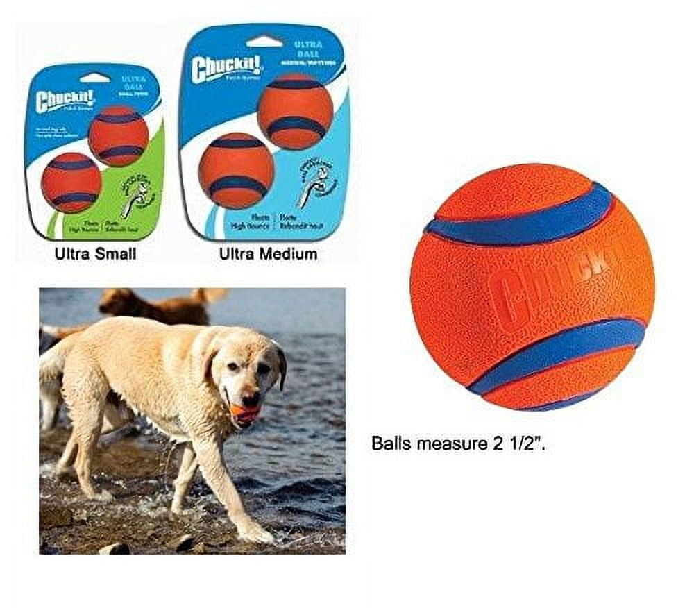 Ball Lover's Pack - Featuring Dog Ball Toys