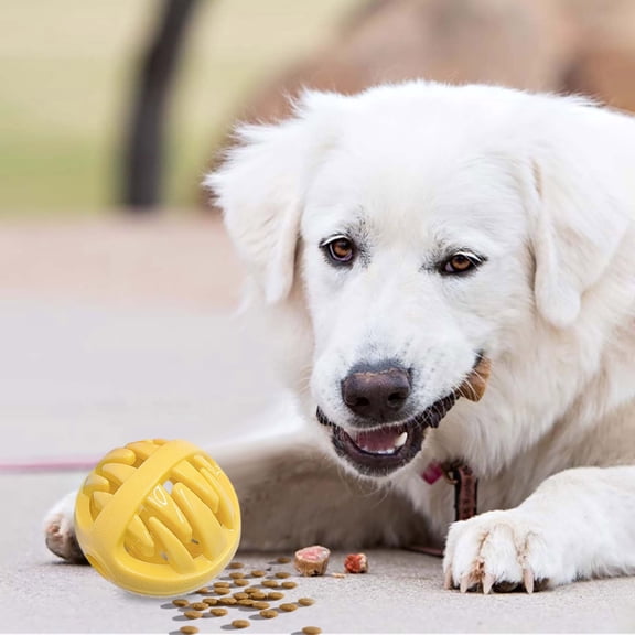 Dog Toy For Food Puzzle Mentally Stimulating Puppy Chew Brain Teething Training Playing Indoor Outdoor