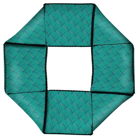Dog Toy Octagon Flyer Pdx Airport Carpet Old