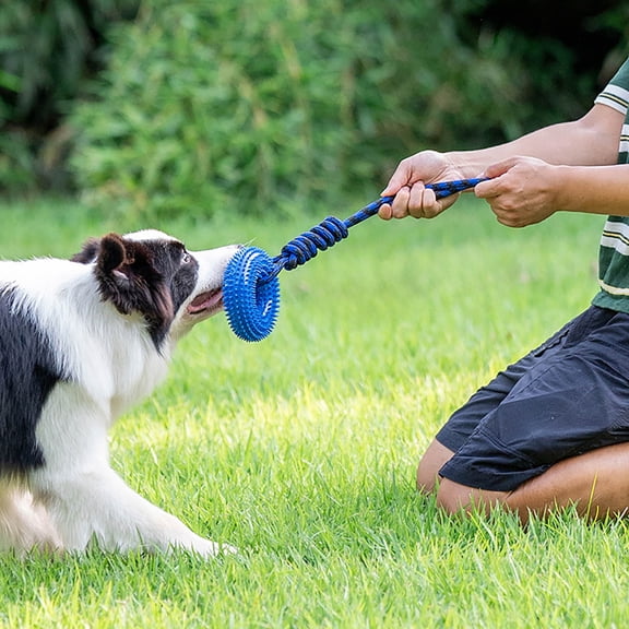 Dog Toys Squeaky Spiky Ring for Chewers Puppy Teething Interactive Rope Boredom Training Small Medium Large Breeds Outdoor