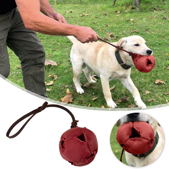 Dog Training Ball on Rope | Leather Chew Toy for Small/Medium Dogs | Activity Release & Anxiety Relief | Interactive Exercise & Reward Ball