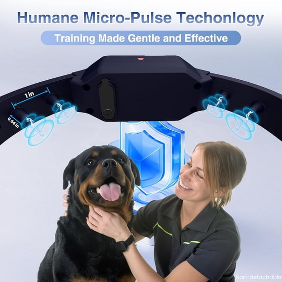 Dog Training Collar with Remote, 4200Ft E-Collar with LED Light, 3 Training Modes Beep, Vibration, Static, Rechargeable Electric Collar for Medium Large Dogs