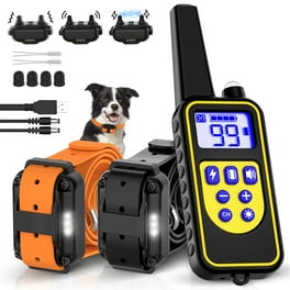 Electric dog collar walmart hotsell