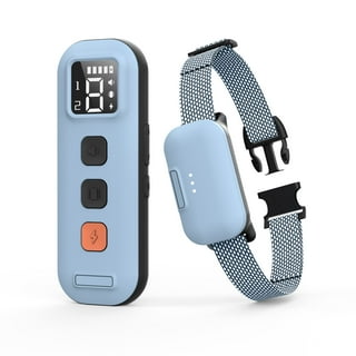Dog Training and Shock Collars in Dog Collars Leashes and