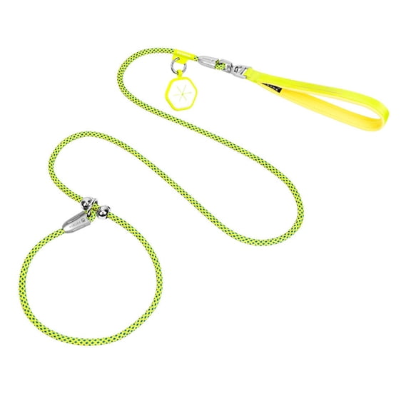 Dog Training Leash Collar with P Ring Control Reflective Obedience Pet Collar for Secure Walk